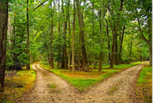 On-line: A Next Step: A writing circle following the loss a loved one.